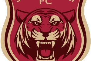 嘉定匯龍官方：截止上輪，足協評議共三次漏判給本隊點球 ???