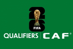 世預(yù)賽非洲區(qū)附加賽：尼日利亞對(duì)加蓬，喀麥隆對(duì)民主剛果