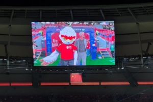 上海海港賽前官宣吉祥物：伊戈，形象為白色雄鷹