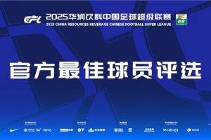 中超第29輪最佳候選：王燊超、鐘義浩、法比奧、澤卡、蘭克爾澤