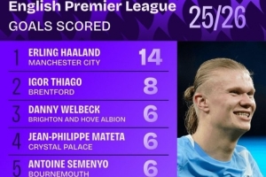 本賽季英超進球榜：哈蘭德14球居首，維爾貝克、姆伯莫在列