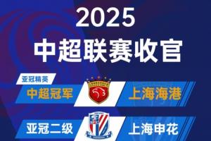 ??2025中超大結局：海港奪冠申花亞軍 法比奧金靴 亞泰梅州降級
