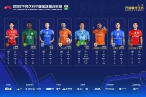 中超官方11月最佳候選：瓦科、吳曦、法比奧、王燊超在列