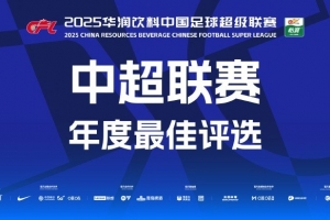 中超年度最佳球員候選：瓦科、王鈺棟、萊昂納多在列，無克雷桑